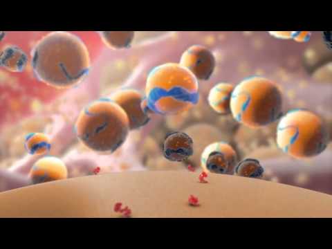 Extrahepatische portale Hypertension Behandlung Hypertonie und traditionelle Behandlungen
