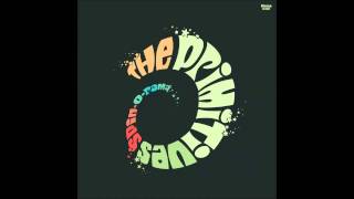 The Primitives Hidden in the Shadows