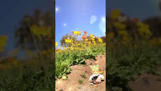 【福岡】能古島を満喫するパモ族 #ポケモン