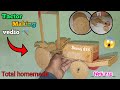 Cardboard Se Banaya Mini Tractor 100 Working Homemade Tractor Experiment Toctoc