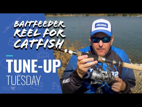Tune-Up Tuesday: How to Catch Catfish with a Baitfeeder Reel