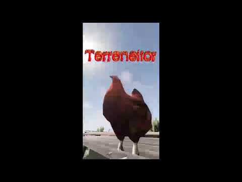 Ročníkový projekt