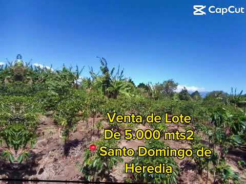 Imagen de Venta de Lotes y Terrenos en Tures - Santo domingo Tures - HEREDIA