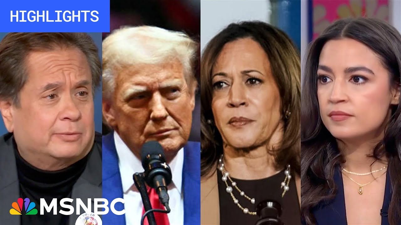 Countdown to the 2024 election: Day 8 | MSNBC Highlights