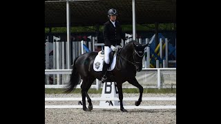 Video of Ces't Si Bon Lady
