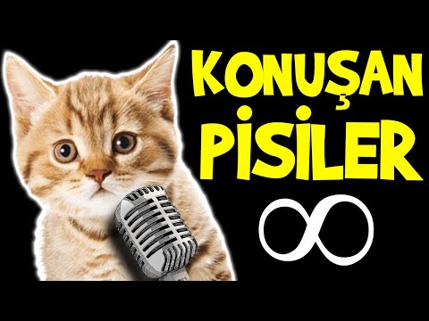Konuşan Pisiler ∞ (Sonsuz) - En Komik Kedi Videoları