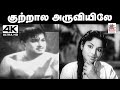 Kuthala Aruviyile Song குத்தால அருவியிலே சீர்காழி �