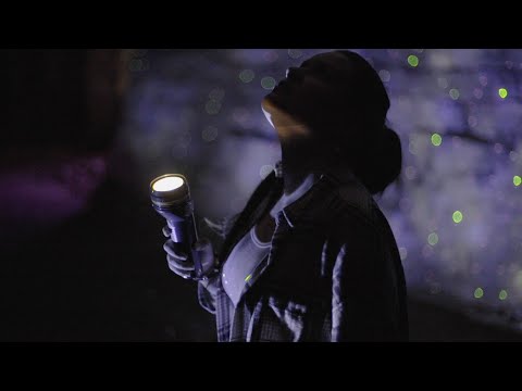 Natural Disorder - Spelunkers (Official Music Video)