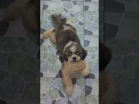 Keana is ready to eat, look at that excited face! 🍽️