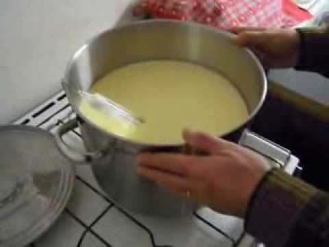 pourquoi la vache fait du lait