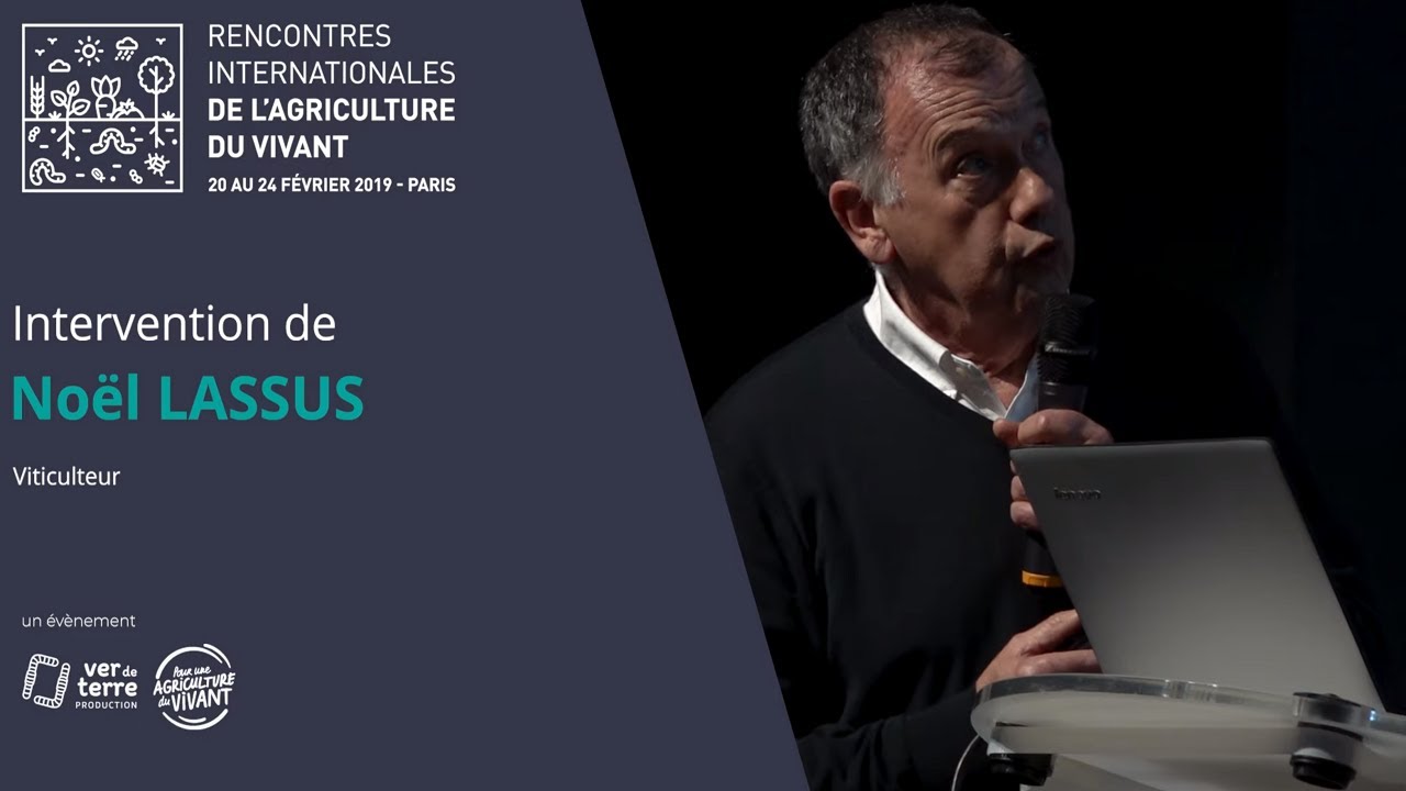 Noël Lassus - La vigne agro-forestière