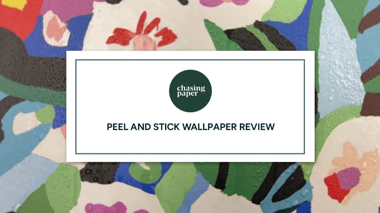 Chasing Paper Peel & Stick Wallpaper Review | Ep. 2 | Top 10 Brands