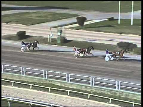 Trotto 13/01/2015 - 1°  Prova di riqualifica