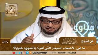 صورة 2377 - ما هي الأعضاء السبعة التي أمرنا بالسجود عليها؟ - الشيخ صالح الفوزان