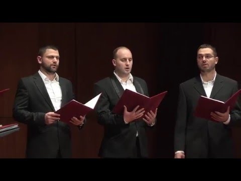 Србски Православни Појци - Стихира српским светитељима