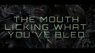 Meshuggah - The Mouth Licking What You&#39;ve Bled  (lyrics/visualizer)