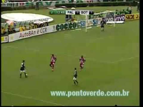 05/04/2009 - PAULISTA 2009 - PALMEIRAS 2 X 1 BOTAFOGO-SP - GOLS