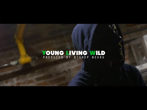Video thumbnail for YLW (YOUNG LIVING WILD)