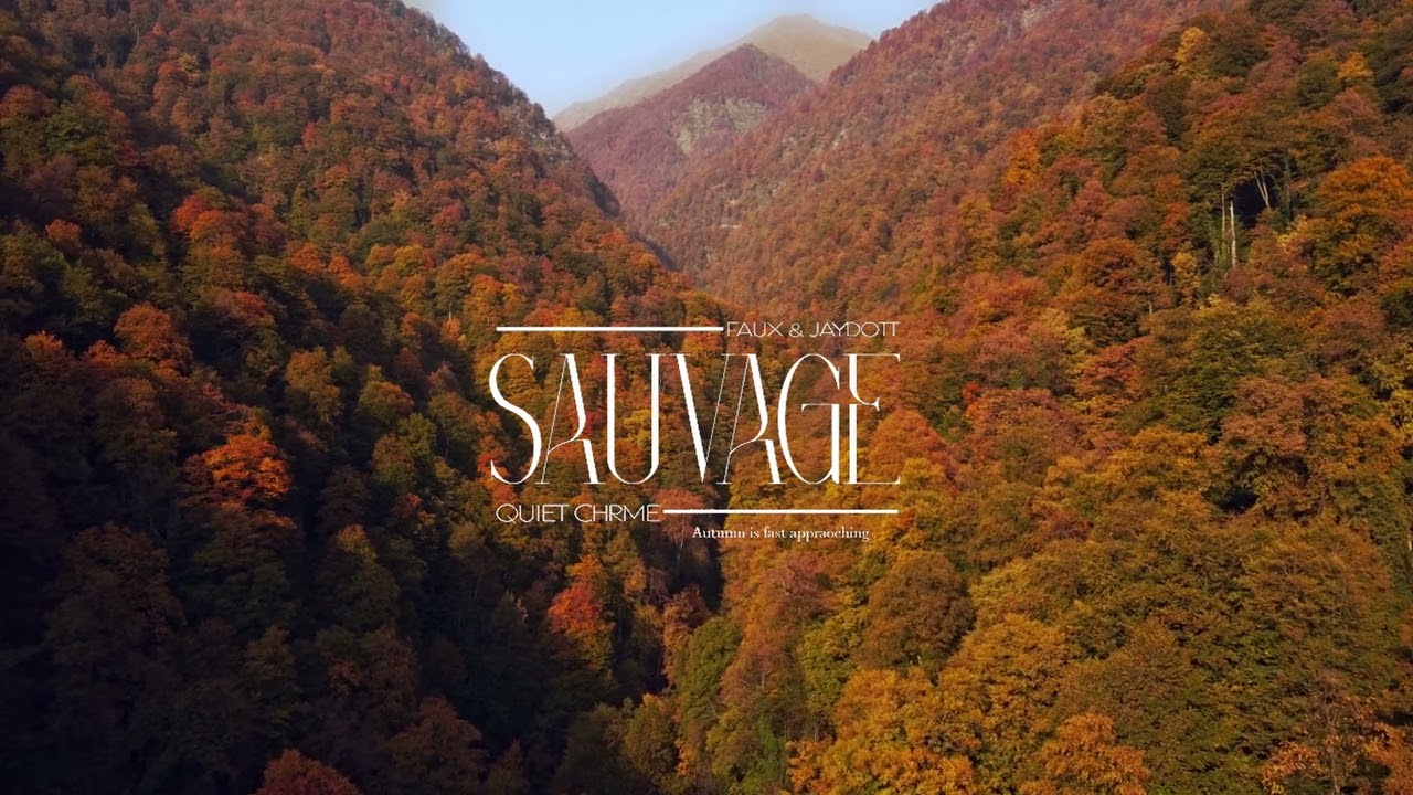Sauvage (ft. Chrme Shwty & JayDottCee) [Quiet Chrme Remix] Visualizer