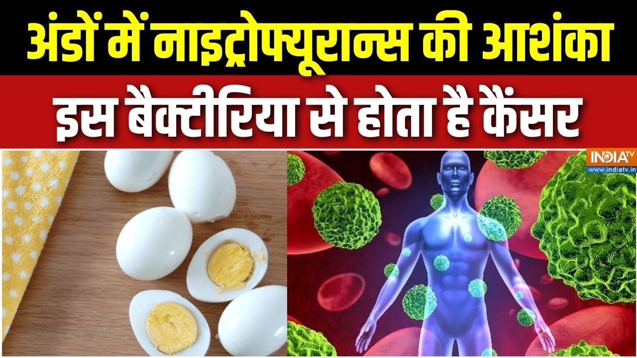 Fake eggs: अंडों में Nitrofuran की आशंका, इस बैक्टीरिया से होता है क
