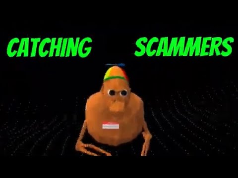 catching scammers in animal company!