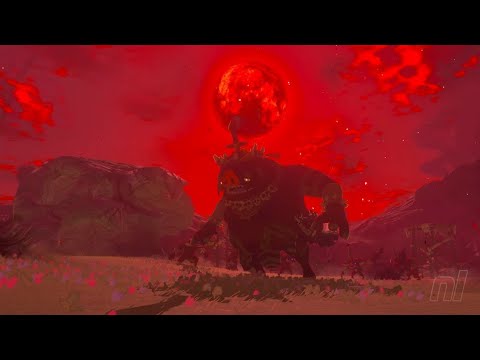 Zelda Tears Of The Kingdom | (no sage's) Boss Rush Final Boss (No Damage)