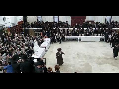 חתונה מכנובקא בעלזא סאסוב דזיקוב ויזניץ לעלוב בני ברק(3)