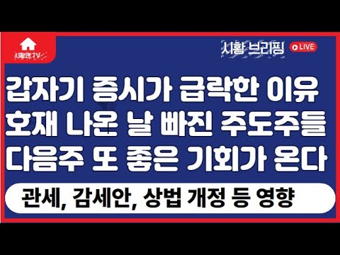 주식 시황. 증시. 갑자기 크게 하락한 이유. 호재 나온 날만 골라 하락한 주도주들, 의미는. 상법 개정, 관세, 감세 등 정책 영향은? 다음주 또 한 번 좋은 기회가 온다