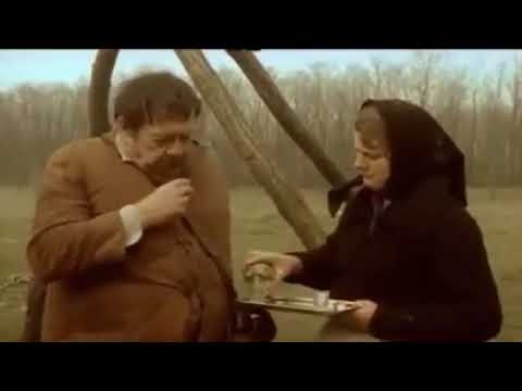 Ko to tamo peva sa Pavletom Vujsićem