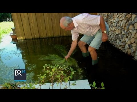 Built on the water | BR24