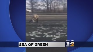 Money On The Highway