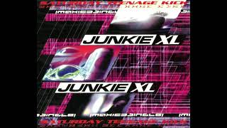 Junkie XL - 100
