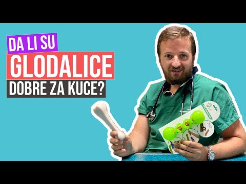 FamilyPet Store | Da li su glodalice dobre za kuce?