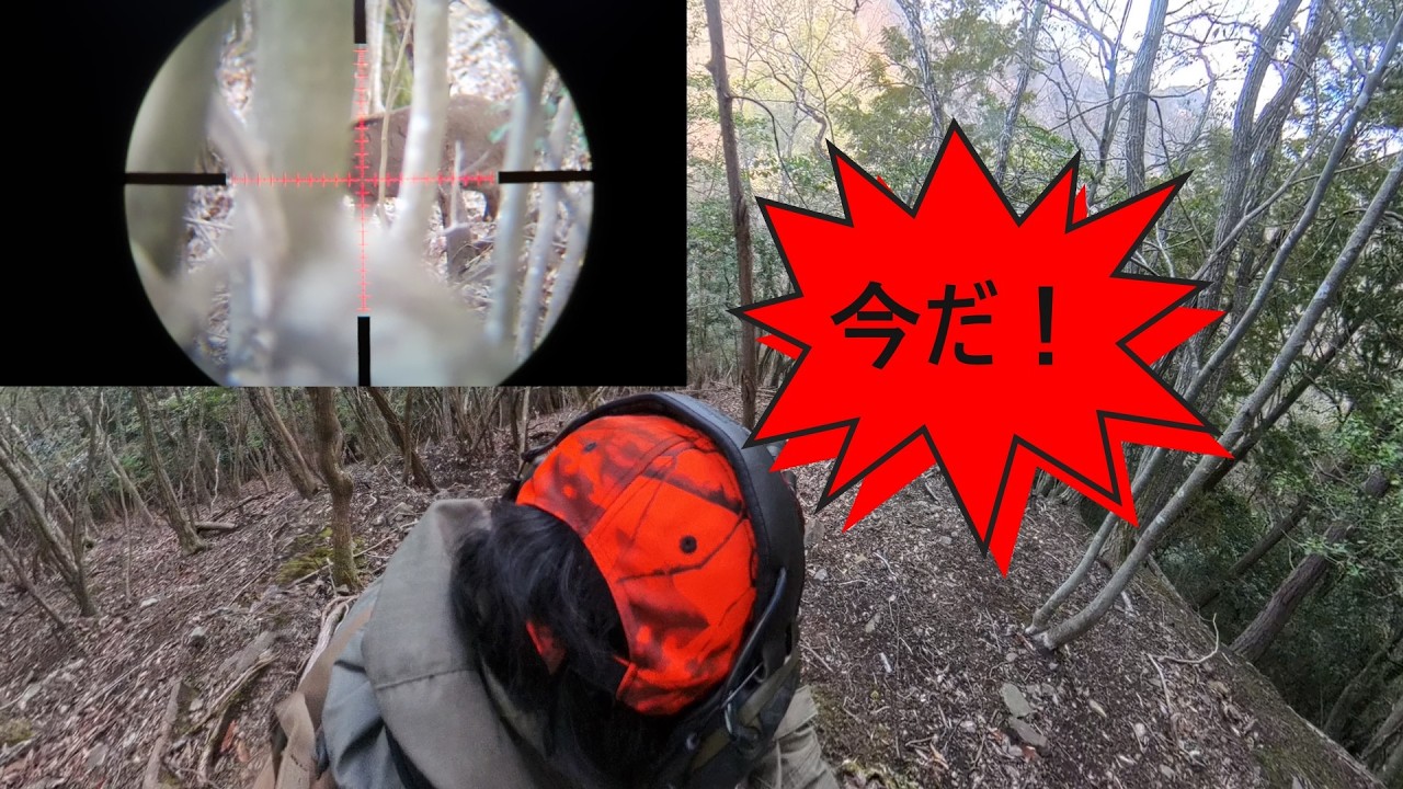 新作ベストのモデルをしながら忍び猟【解説付忍び猟R04】