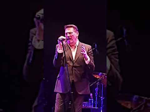 through the barricades, tony hadley, ferrara 24-11-2022