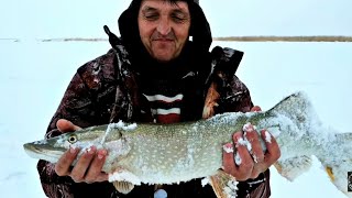 Ссылка
