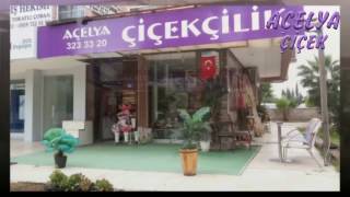 Lara Çiçek Siparişi - 0506 459 5872 - Açelya Çiçek