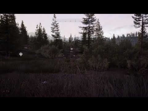 Hunting simulator 2 Colorado Legendary Elk found twice!