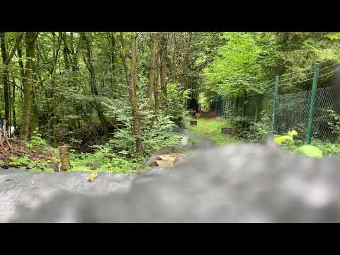 Begadi Sport M4 NOVA SHORTY mit Maxx Model HopUp inkl Begadi PRO Bucking+Tensioner, Nozzl auf AreaM