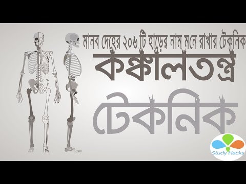 🔥 Biology Shortcut | মানব দেহের  হাড় গুলো মনে রাখো এভাবে 💀। মেডিকেল ও ভার্সিটি । Study Hacks