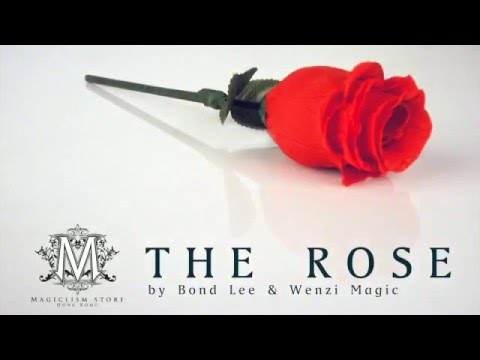 Voir la vidéo de The Rose - Bond Lee - Wenzi Magic