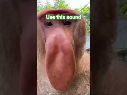 𝕓𝕣𝕣 𝖇𝖗𝖗 𝘱𝘢𝘵𝘢𝘵𝘪𝘮