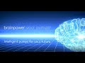 BRINKMANN PUMPS bplogic – brainpower your pumps (Deutsch)