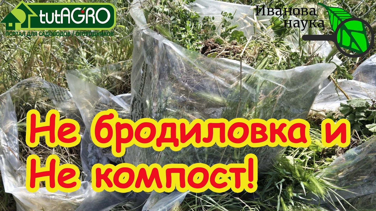 В 100 раз лучше навоза и БЕСПЛАТНО! Лучшая подкормка из травы за неделю: НЕ бро?