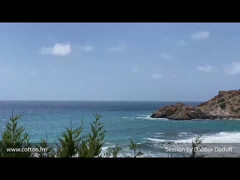 Dalibor Dadoff Live Stream