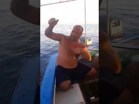 Lampuki fishing MALTA!!!!