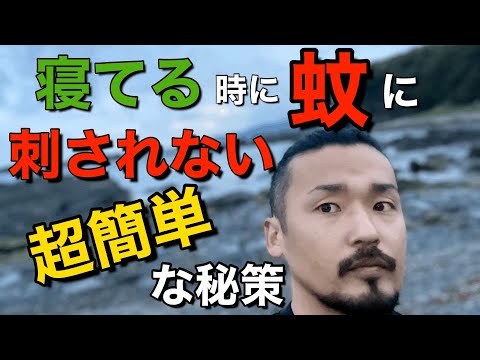 蚊に刺された場合の最良の家庭療法 トピックス