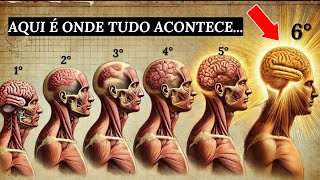 Você NUNCA despertará até entender os 6 NÍVEIS de consciência