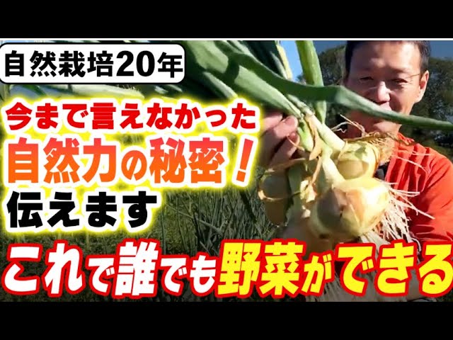 土の力を引き出す愛と感謝の自然栽培