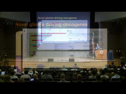 Integrative Molecular Analysis Across Adult Glioma Reveals ... - Houtan Noushmehr